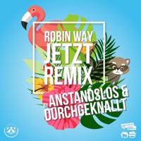 Robin Way - Jetzt (Anstandslos & Durchgeknallt Remix)