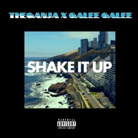 SHAKE IT UP (feat. Galee Galee) - Single - Ganjastyle
