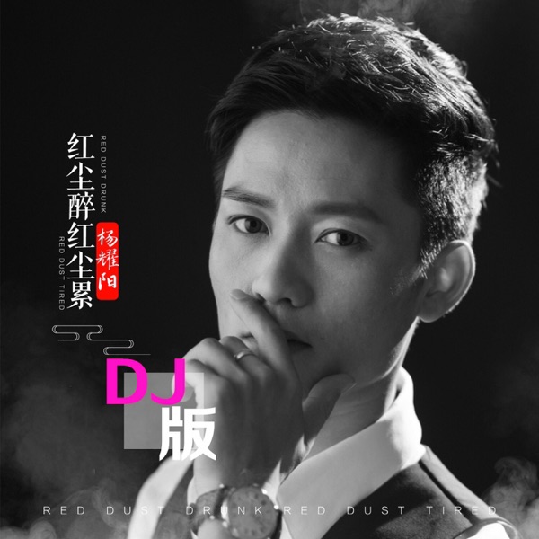红尘醉红尘累 (DJ版) - Single