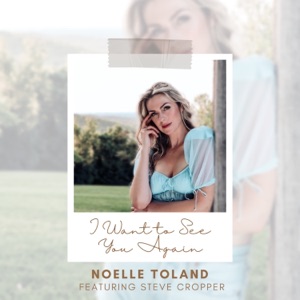 I Want To See You Again (feat. Steve Cropper) - Single