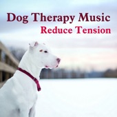 Reduce Tension, Dog Therapy Music artwork