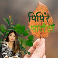 Pipire Pataile (feat. Mechu Dhimal & Arten Rai) - Single - Jibihang Rai