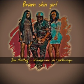 Brown skin girl (feat. Shampane di topbanga) Joe marley