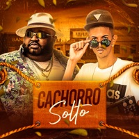 Cachorro Solto - Single - MC Kalzin & Dj Carlitinho