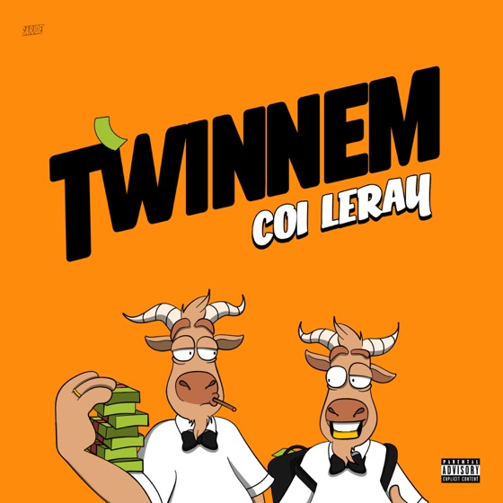 Cover artwork for TWINNEM