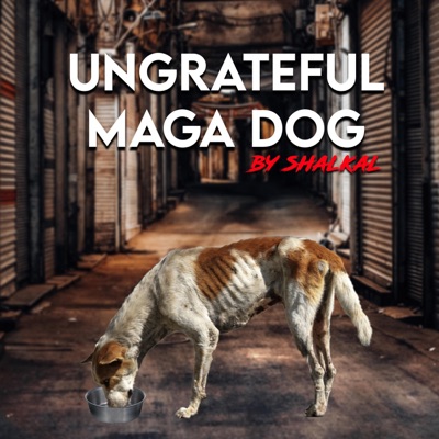 Perro Flaco Ingrato - Single
