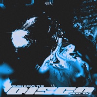 BURN DOWN THE DISCO - Single - ALEX