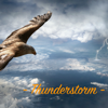 Thunderstorm - Rain Sounds & Rain & Thunder