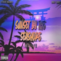 Sunset By the Seashore (feat. Saucy Candy) - Single - Feykers Knights