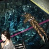 Dive cover art