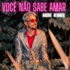 Você Não Sabe Amar - Single