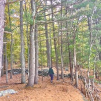 Born In the Woods, Raised By the Internet - skawt