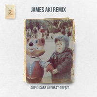 Copiii Care Au Visat Greșit (The Motans vs. James Aki Remix) - Single - Banger Tunes