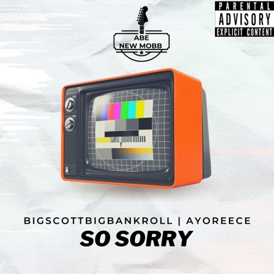 So Sorry (feat. Ayoreece) - Single
