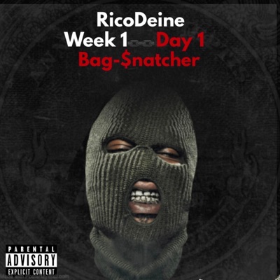 Bag $natcher - Single