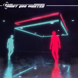 What You Wanted Djedi & Mannequin