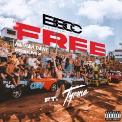 Free (Nathan Dawe Freemix) [feat. Tyrone & Chris Nichols] - Single