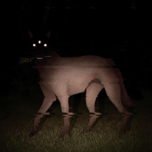 Witchcraft - Single