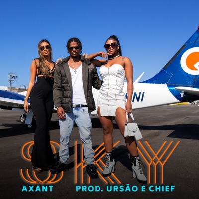 Sky (feat. Ursão & Chief) - Single