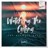 Constant Z - Watching The Ceiling (feat. The Beamish Boys)