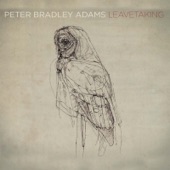 Peter Bradley Adams - The Longer I Run