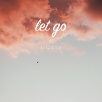 Let Go - Single - LiQWYD