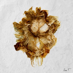 Yadi - Single