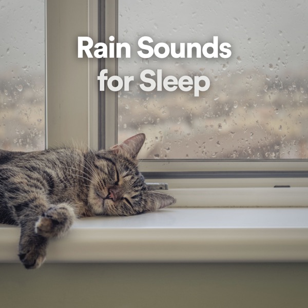 !!! Rain Sounds for Sleep !!!