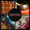 Sound Healing: Tibetan Bowls – Healing Vibrations, Crystal Bowls, Chakra Balancing, Reiki Energy, Om Chanting, Mindfulness & Yoga - Emotional Healing Intrumental Academy