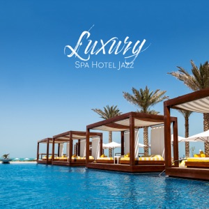 Luxury Spa Hotel Jazz: Lounge Piano Session