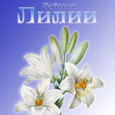 Лилии - Single