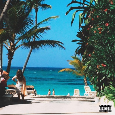 Foreign Friends - Single