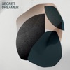 Julien Augier Beyond Reach (feat. Justin Purtill & Julien Augier) Secret Dreamer