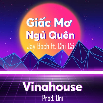 Giấc Mơ Ngủ Quên (Vinahouse) [feat. Chị Cả] - Single
