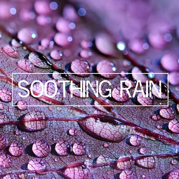 Soothing Rain