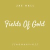 Fields of Gold (Acoustic)