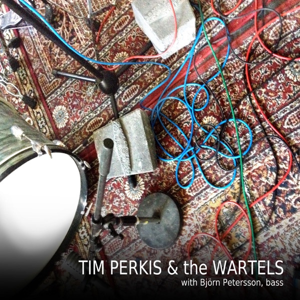 Tim Perkis & the Wartels