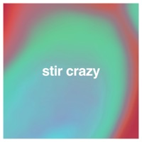 Stir Crazy - Single - Forrest Nelson