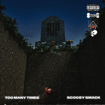 Too Many Times - Single