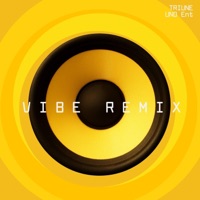 Vibe (Remix) [Remix] - Single - Triune