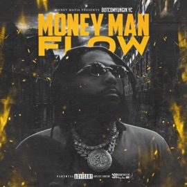 Money man Flow Dotcomyungin YC