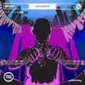 polyriddim