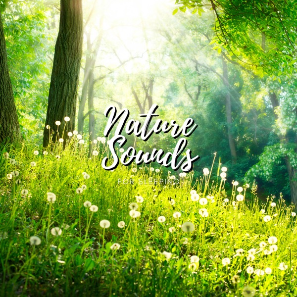 Nature Sounds For Sleeping - EP