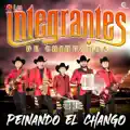 Peinando el Chango