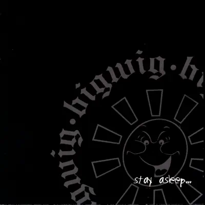Luister naar 'Stay Asleep' van Bigwig