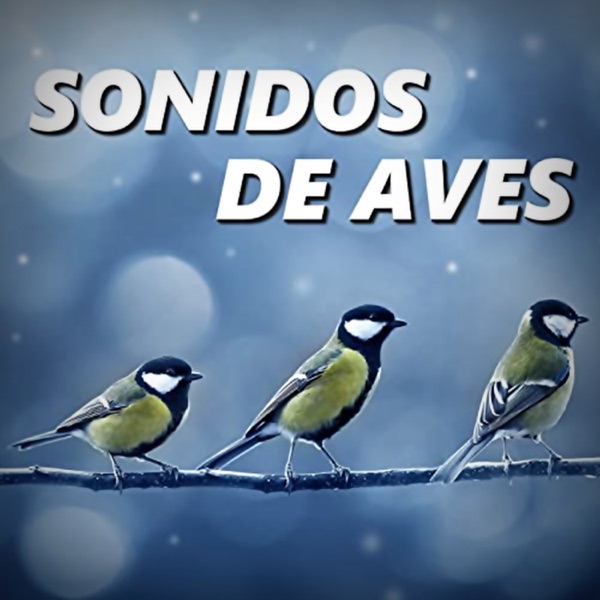 Sonido de Aves
