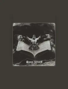 Listen to IN_TEAM, watch music videos, read bio, see tour dates & more!