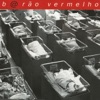 Barão Vermelho - Jardins da Babilônia