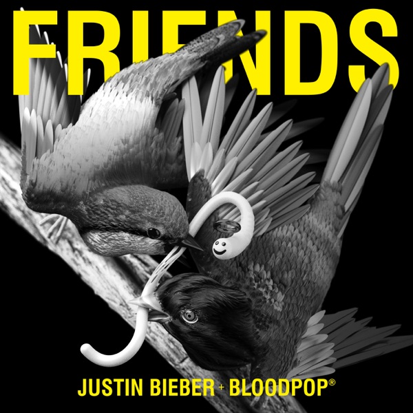 Justin Bieber & Bloodpop Friends