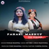 Pahari Mashup (Pro Version) - Single